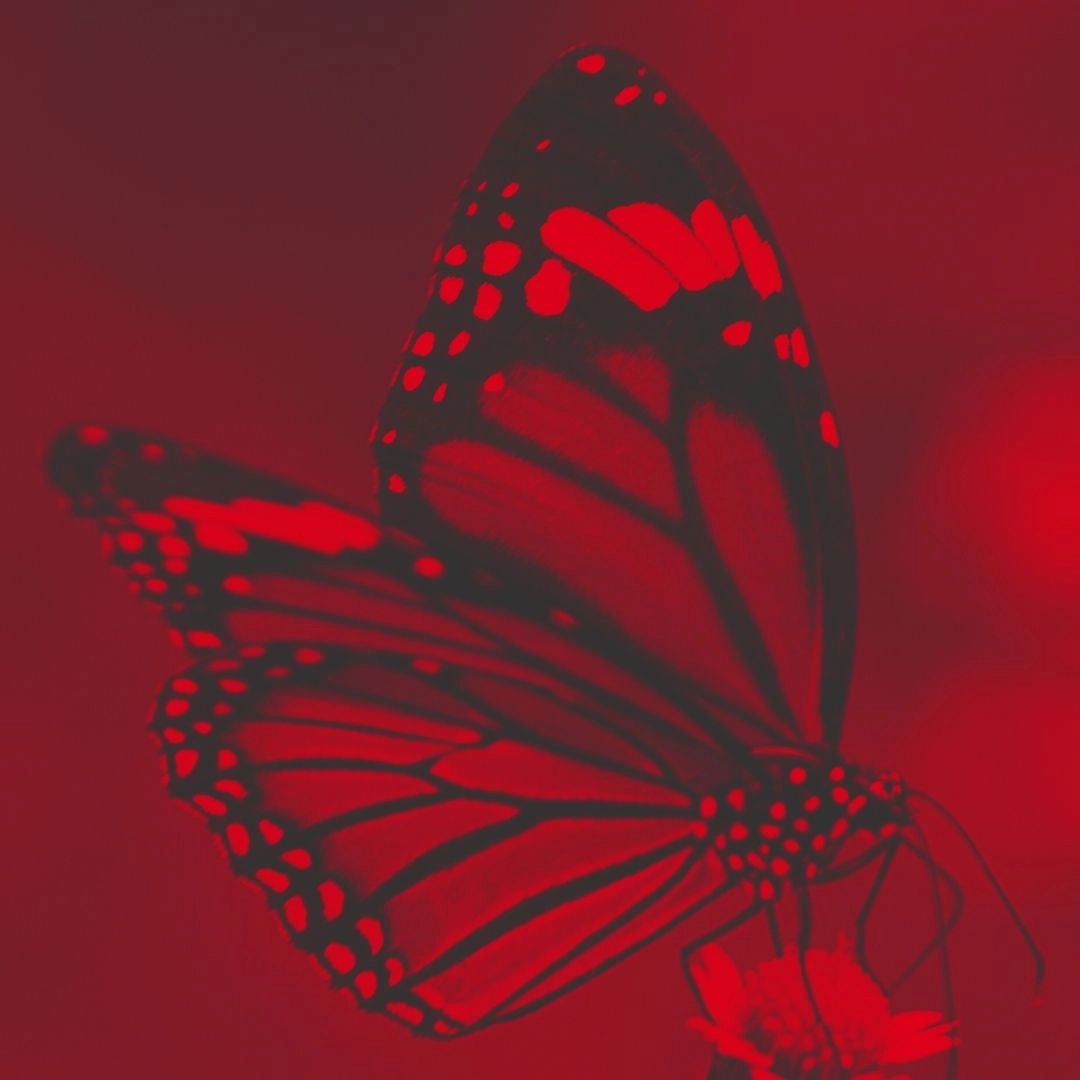 Butterfly perched on a flower with red overlay, representing transformation and ethical progress in science.