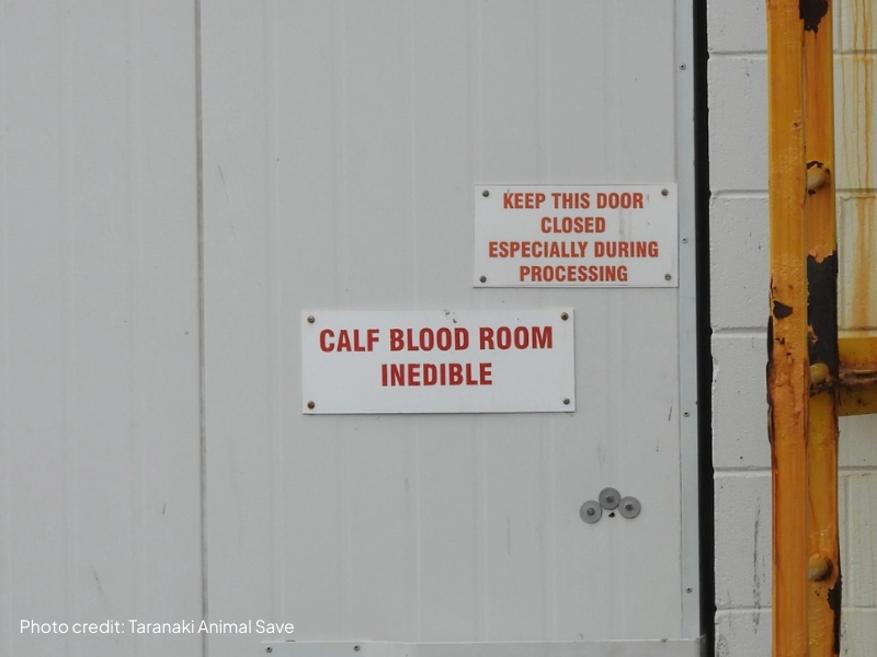 Exterior of an abattoir where cows are processed, representing the broader use of animals in industry and research