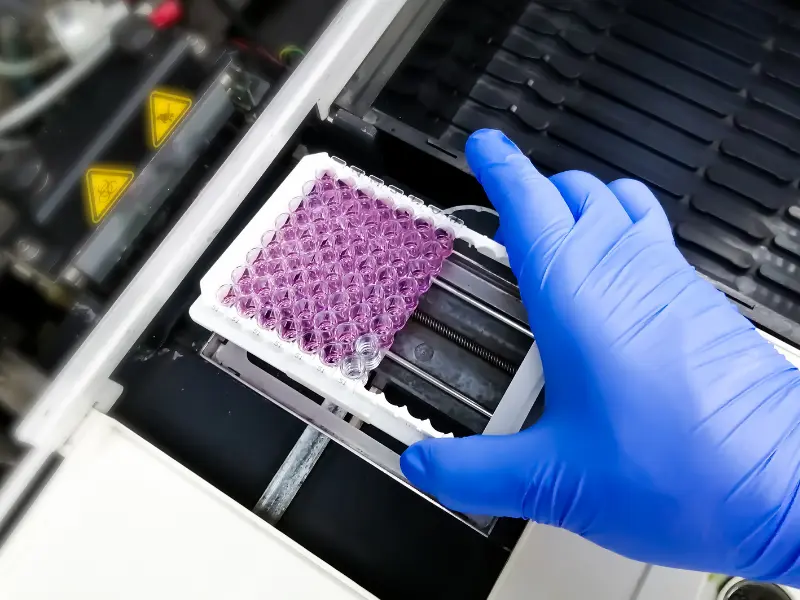 Scientist performing cell-based assay testing in a laboratory dish