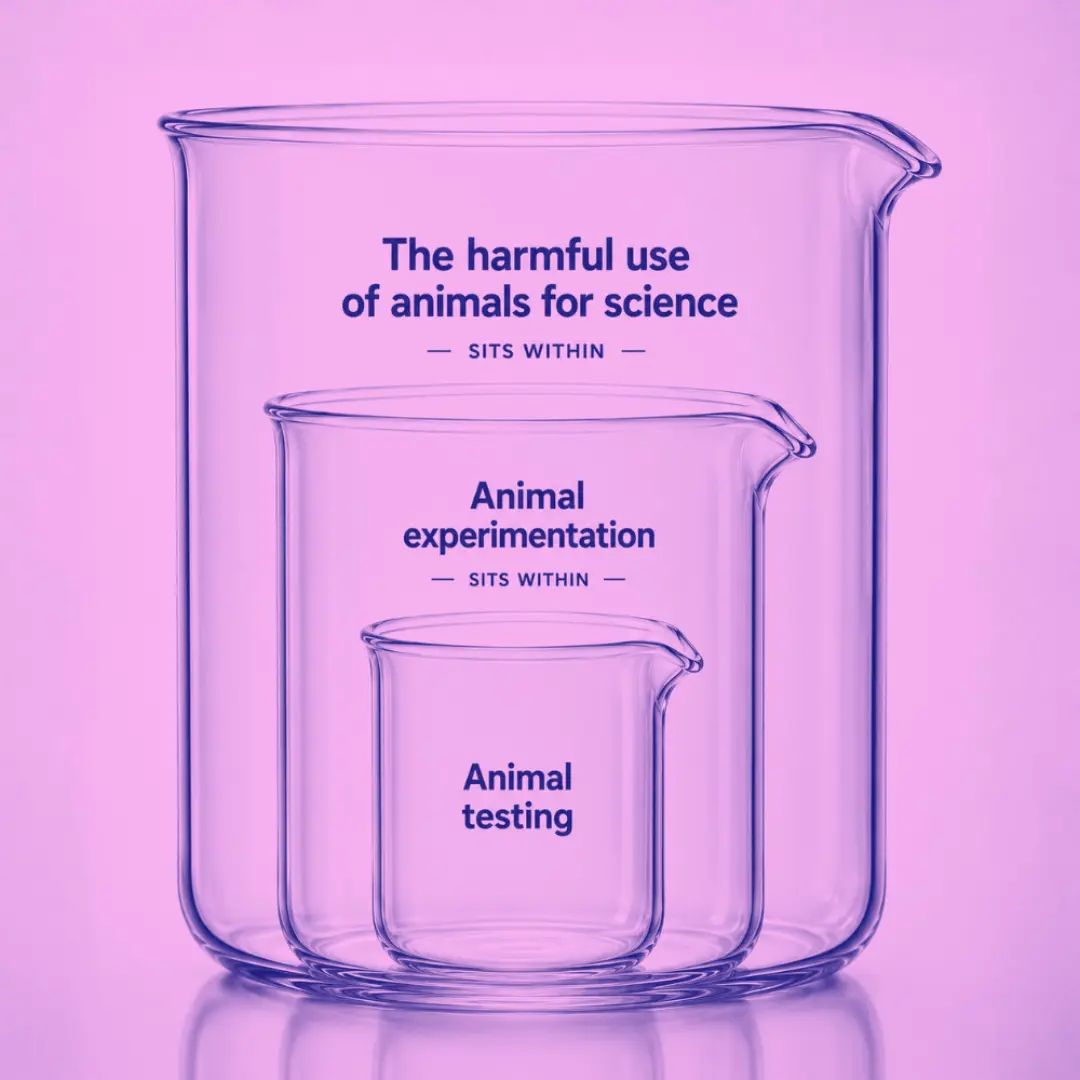 Illustration representing common terminology used in animal testing and scientific research in New Zealand